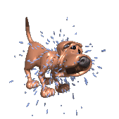 Animated dog image 0685