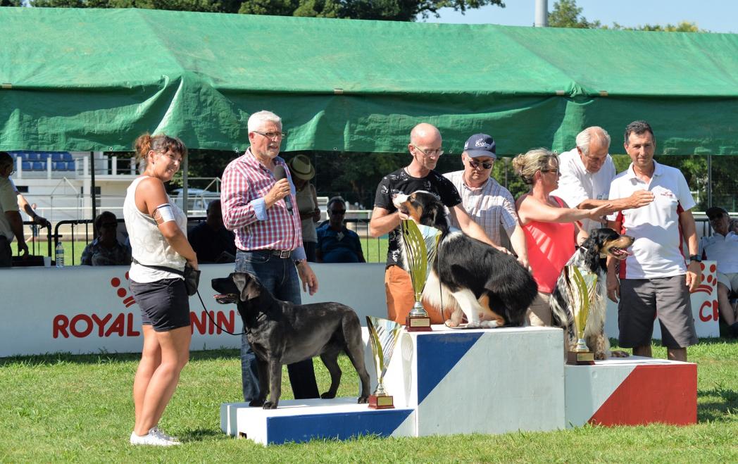 Expo canine Cahors 2018